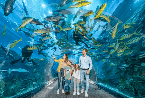 Dubai Aquarium and Underwater