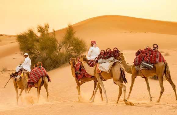 Camel Trekking Dubai